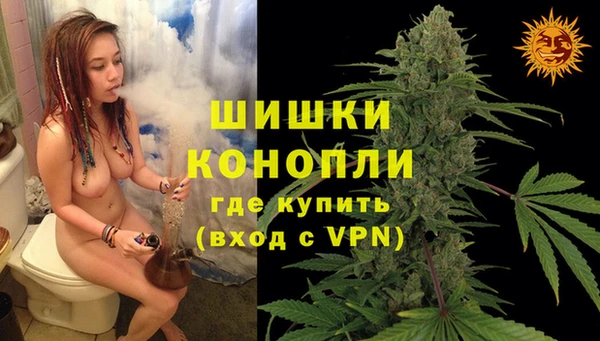 дурь Дегтярск