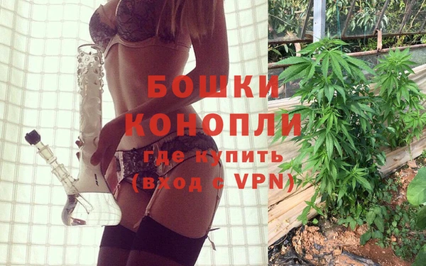 прущие грибы Дедовск