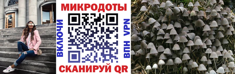 mega зеркало где можно купить наркотик Короча Галлюциногенные грибы Psilocybine cubensis